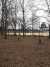 Nähe der Bildergalerie im Park Sanssouci wurden 2019 Linden nachgepflanzt, deren Aufwuchs auch durch Wassersäcke unterstützt wurde. | © SPSG, Sven Hannemann