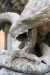 Adler mit Schlange (Detail) | © SPSG, Silke Kiesant